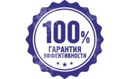 100% Гарантия эффективности